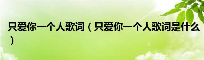 只爱你一个人歌词（只爱你一个人歌词是什么）