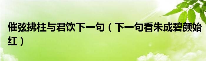 催弦拂柱与君饮下一句（下一句看朱成碧颜始红）