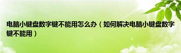 电脑小键盘数字键不能用怎么办（如何解决电脑小键盘数字键不能用）