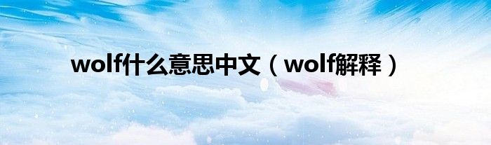 wolf什么意思中文（wolf解释）