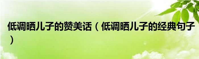 低调晒儿子的赞美话（低调晒儿子的经典句子）