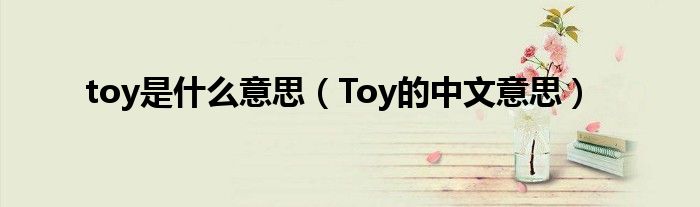 toy是什么意思图片