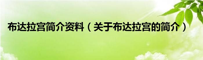 布达拉宫简介资料（关于布达拉宫的简介）