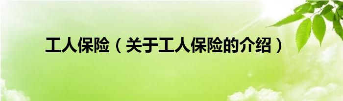 工人保险（关于工人保险的介绍）