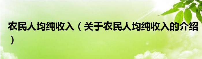 农民人均纯收入（关于农民人均纯收入的介绍）