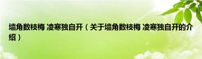 墙角数枝梅 凌寒独自开（关于墙角数枝梅 凌寒独自开的介绍）