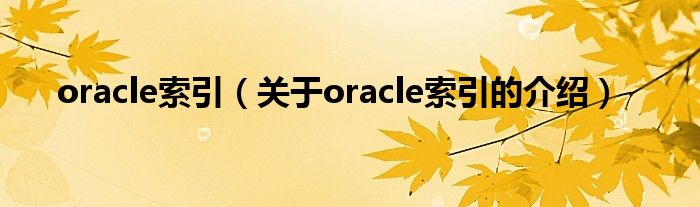 oracle索引（关于oracle索引的介绍）