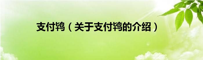 支付鸨（关于支付鸨的介绍）