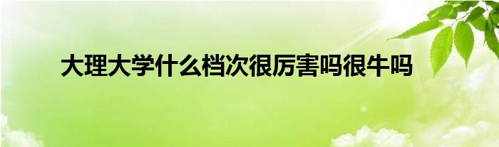 大理大学什么档次很厉害吗很牛吗