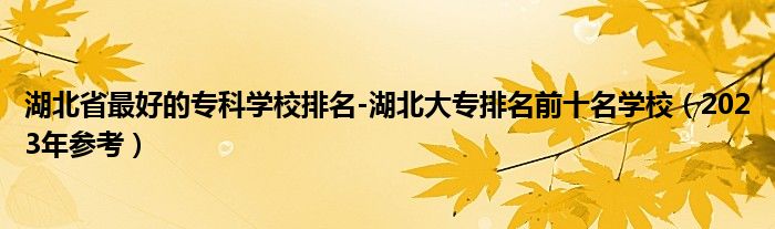 湖北省最好的专科学校排名-湖北大专排名前十名学校（2023年参考）