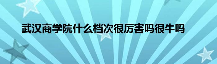 武汉商学院什么档次很厉害吗很牛吗