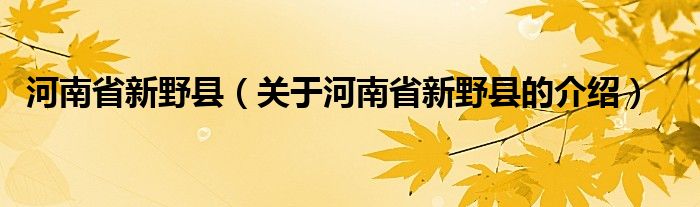 河南省新野县（关于河南省新野县的介绍）