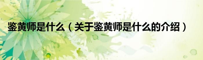 鉴黄师是什么（关于鉴黄师是什么的介绍）