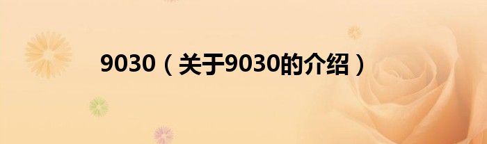 9030（关于9030的介绍）