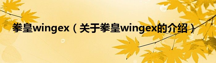 拳皇wingex（关于拳皇wingex的介绍）