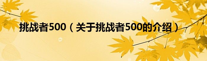 挑战者500（关于挑战者500的介绍）