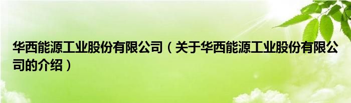 华西能源工业股份有限公司（关于华西能源工业股份有限公司的介绍）