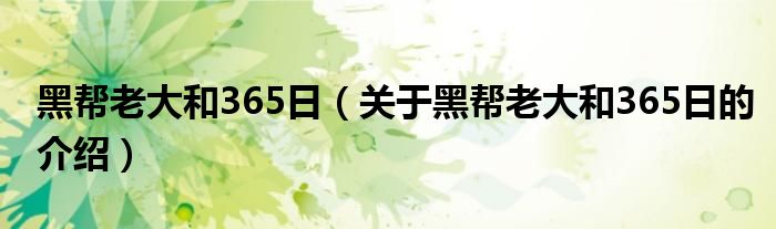 黑帮老大和365日（关于黑帮老大和365日的介绍）