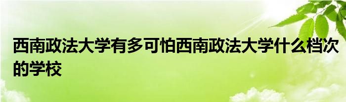 西南政法大学有多可怕西南政法大学什么档次的学校