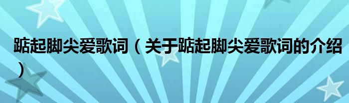 踮起脚尖爱歌词（关于踮起脚尖爱歌词的介绍）