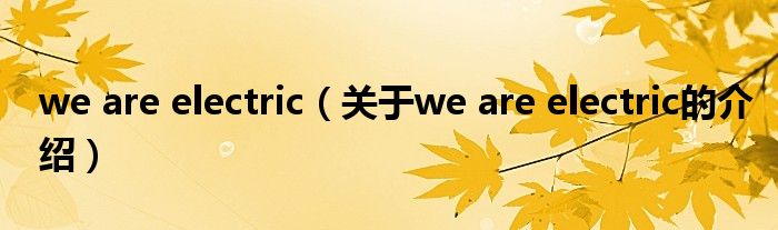 we are electric（关于we are electric的介绍）