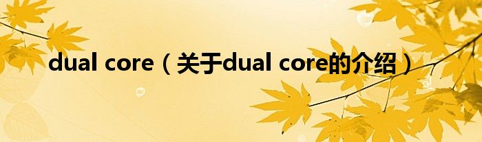 dual core（关于dual core的介绍）