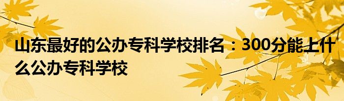 山东最好的公办专科学校排名：300分能上什么公办专科学校