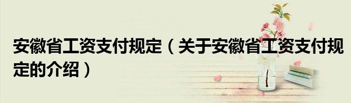 安徽省工资支付规定（关于安徽省工资支付规定的介绍）