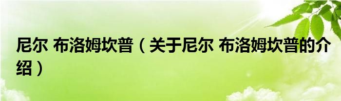 尼尔 布洛姆坎普（关于尼尔 布洛姆坎普的介绍）