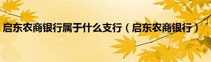 启东农商银行属于什么支行（启东农商银行）