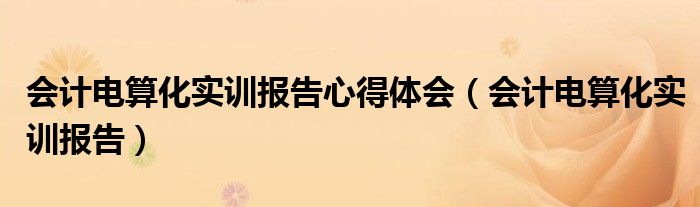 会计电算化实训报告心得体会（会计电算化实训报告）