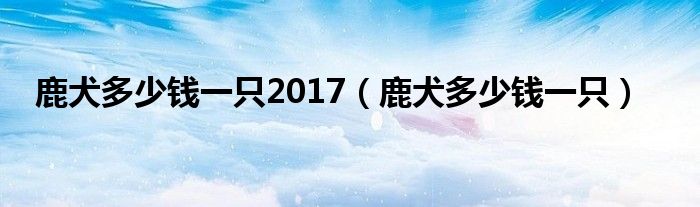 鹿犬多少钱一只2017（鹿犬多少钱一只）