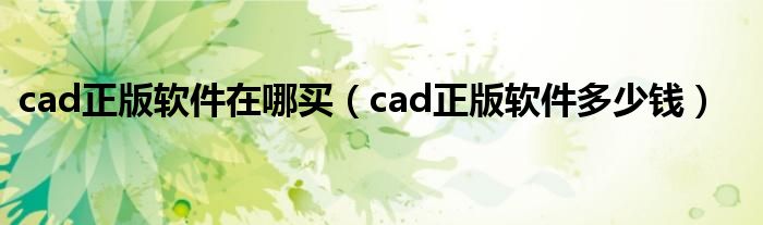 cad正版软件在哪买（cad正版软件多少钱）