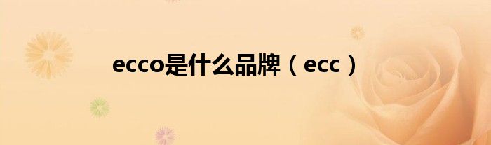 ecco是什么品牌（ecc）