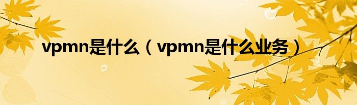 vpmn是什么（vpmn是什么业务）