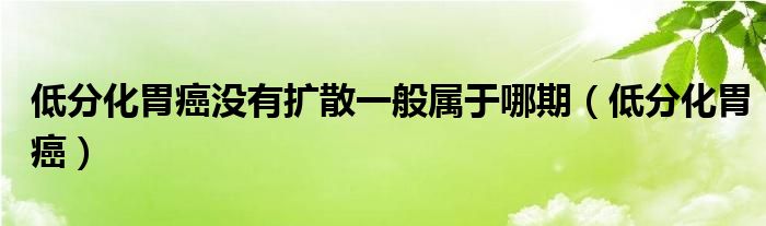 低分化胃癌没有扩散一般属于哪期（低分化胃癌）