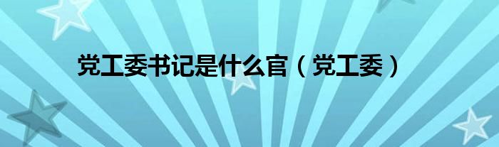 党工委书记是什么官（党工委）