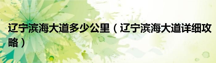 辽宁滨海大道多少公里（辽宁滨海大道详细攻略）