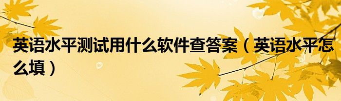 英语水平测试用什么软件查答案（英语水平怎么填）