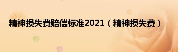 精神损失费赔偿标准2021（精神损失费）