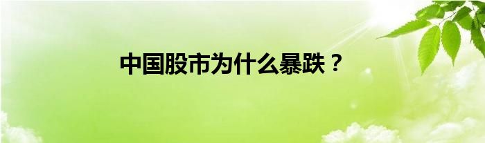 中国股市为什么暴跌？