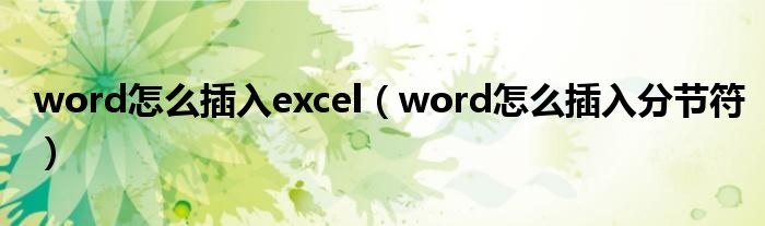 word怎么插入excel（word怎么插入分节符）