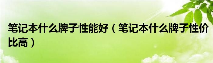 笔记本什么牌子性能好（笔记本什么牌子性价比高）