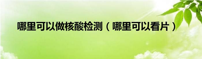 哪里可以做核酸检测（哪里可以看片）