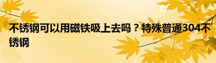 不锈钢可以用磁铁吸上去吗？特殊普通304不锈钢