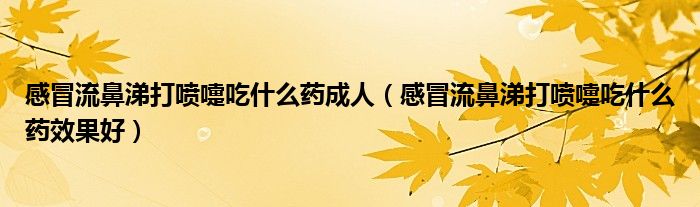 感冒流鼻涕打喷嚏吃什么药成人（感冒流鼻涕打喷嚏吃什么药效果好）