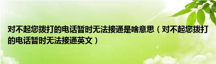 对不起您拨打的电话暂时无法接通是啥意思（对不起您拨打的电话暂时无法接通英文）