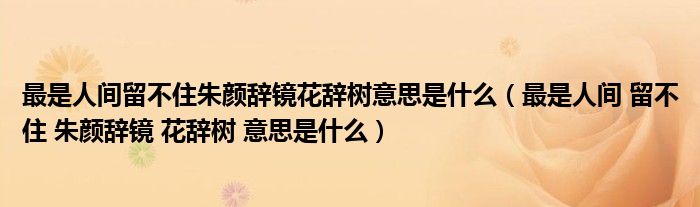 最是人间留不住朱颜辞镜花辞树意思是什么（最是人间 留不住 朱颜辞镜 花辞树 意思是什么）