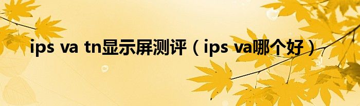 ips va tn显示屏测评（ips va哪个好）