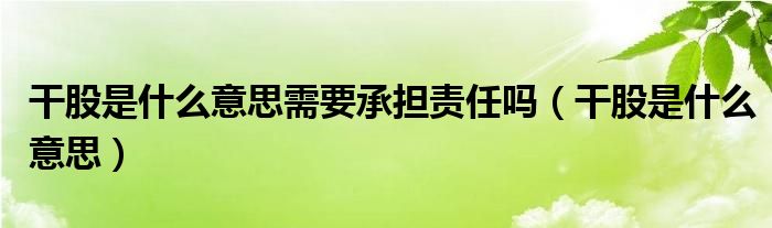 干股是什么意思需要承担责任吗（干股是什么意思）